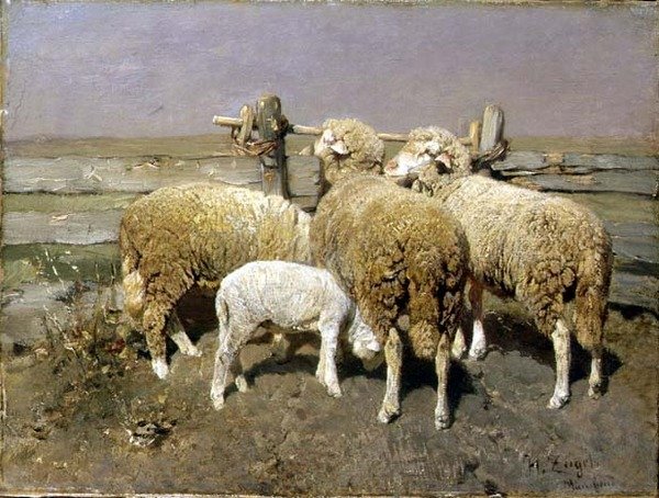 Ovejas en un corral de Heinrich Johann von Zugel
