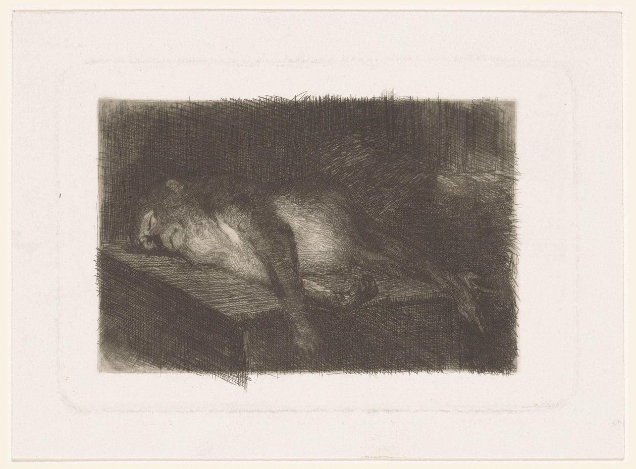 Mono acostado y dormido de Heinrich M. Krabbé