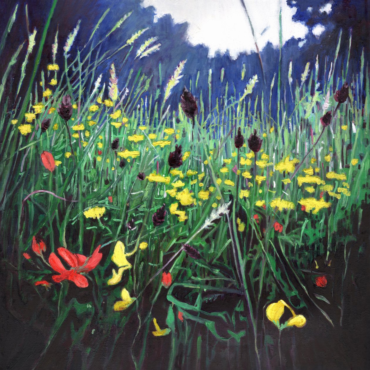 Gloria del prado, 2015 de Helen White