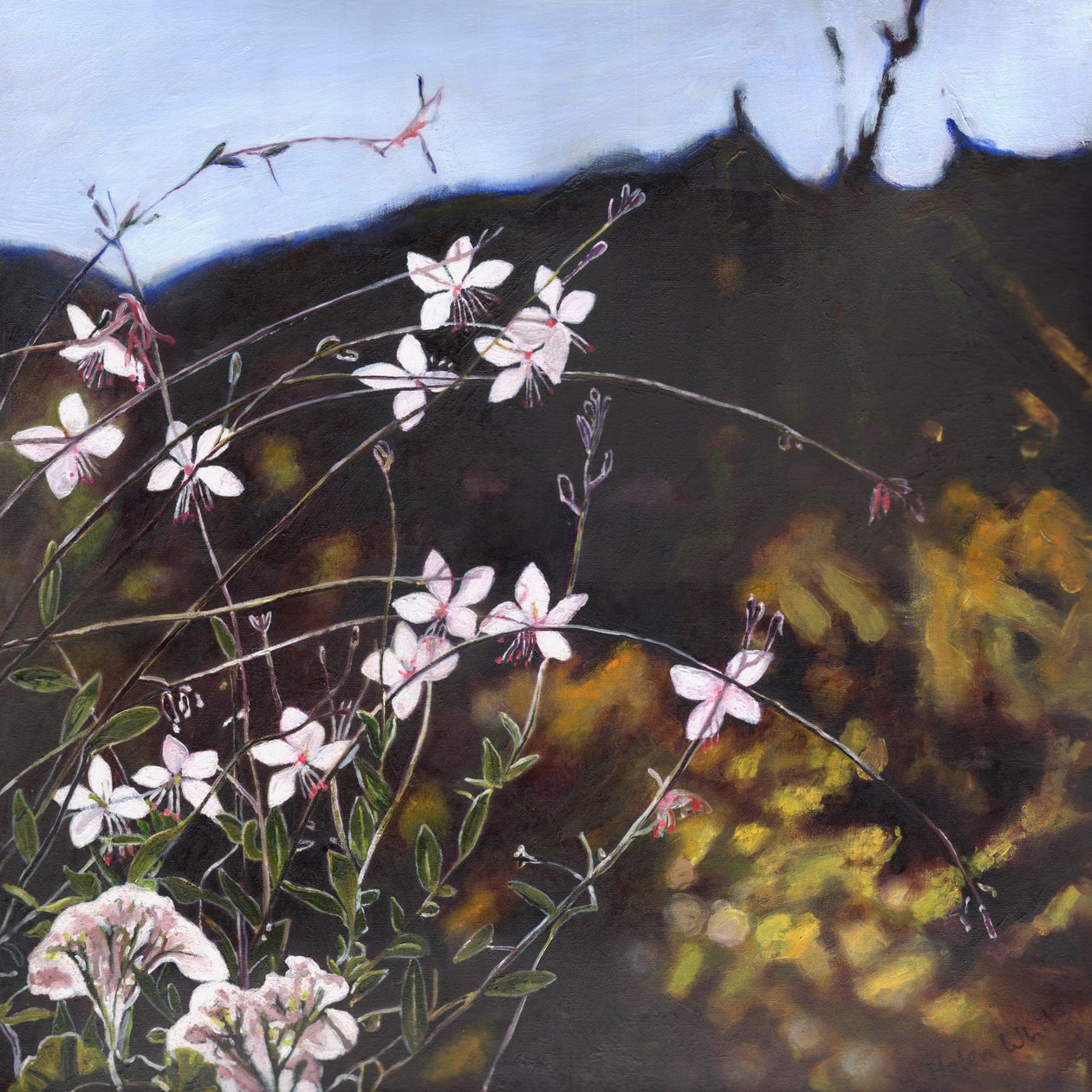 Jardín Provenzal I, 2014 de Helen White