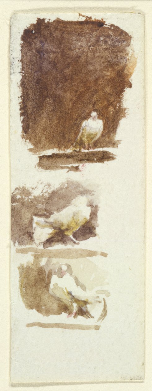 Palomas de Helen Allingham