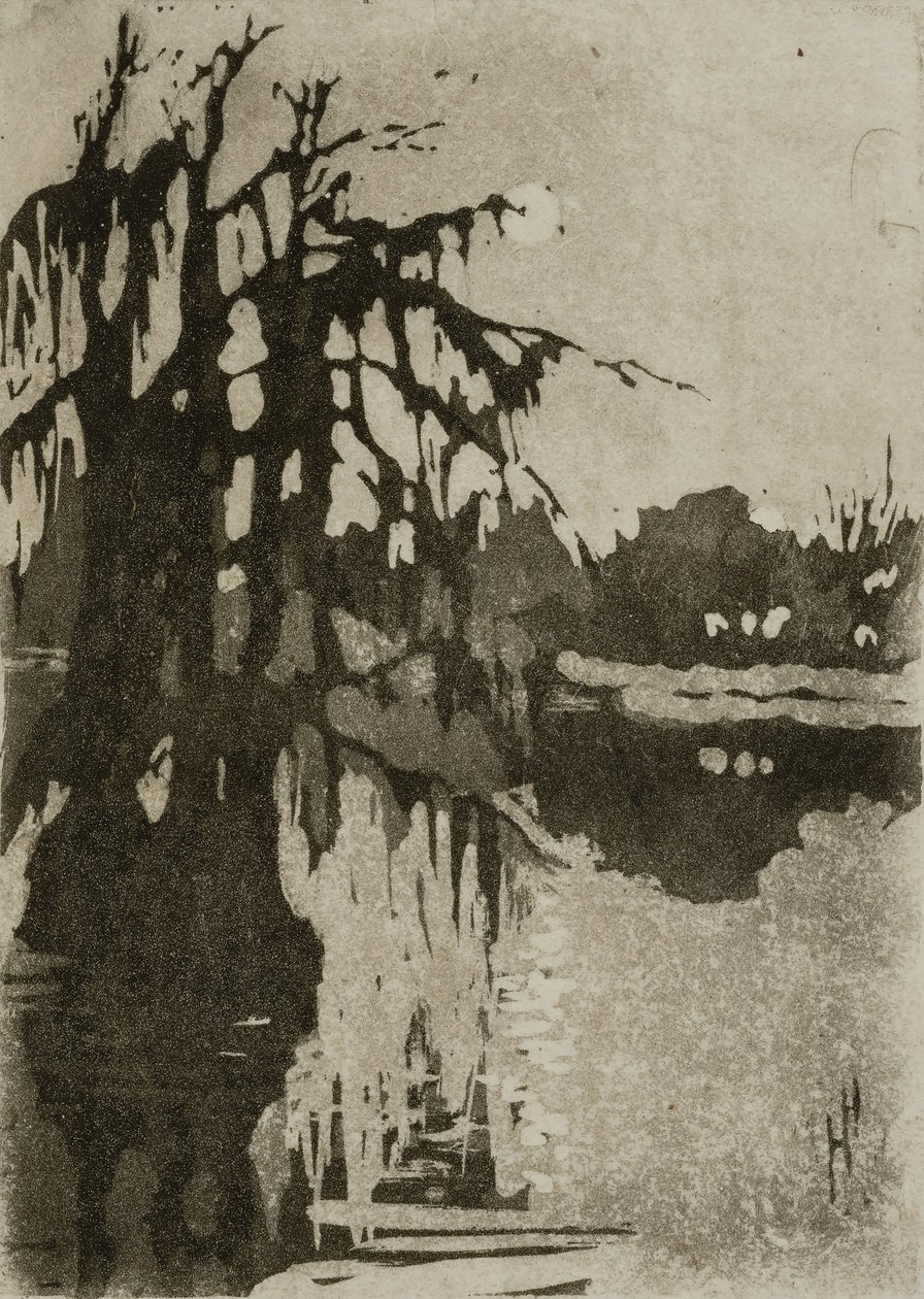 Cipreses de Helen Hyde