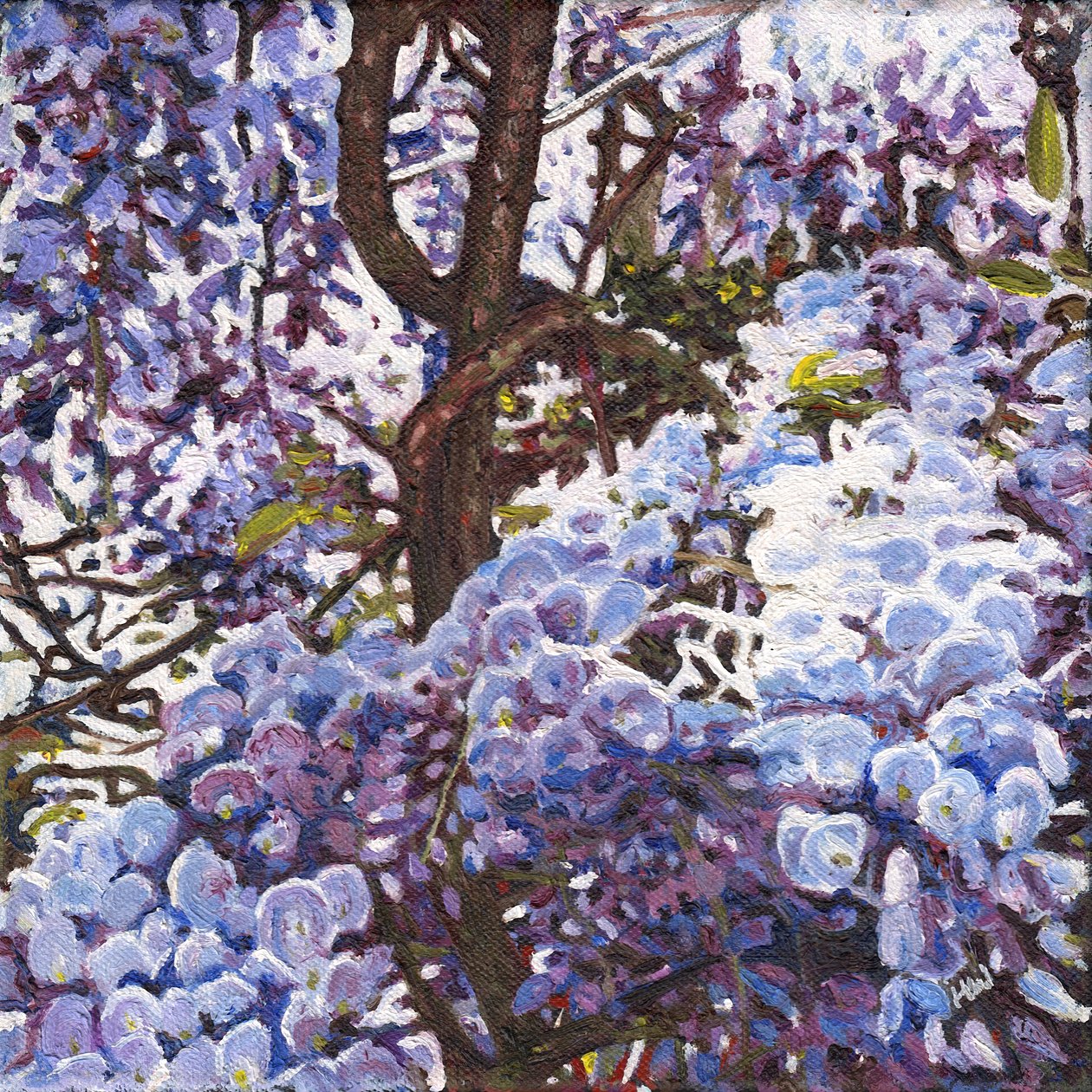 Glicinas azules, 2012 de Helen White
