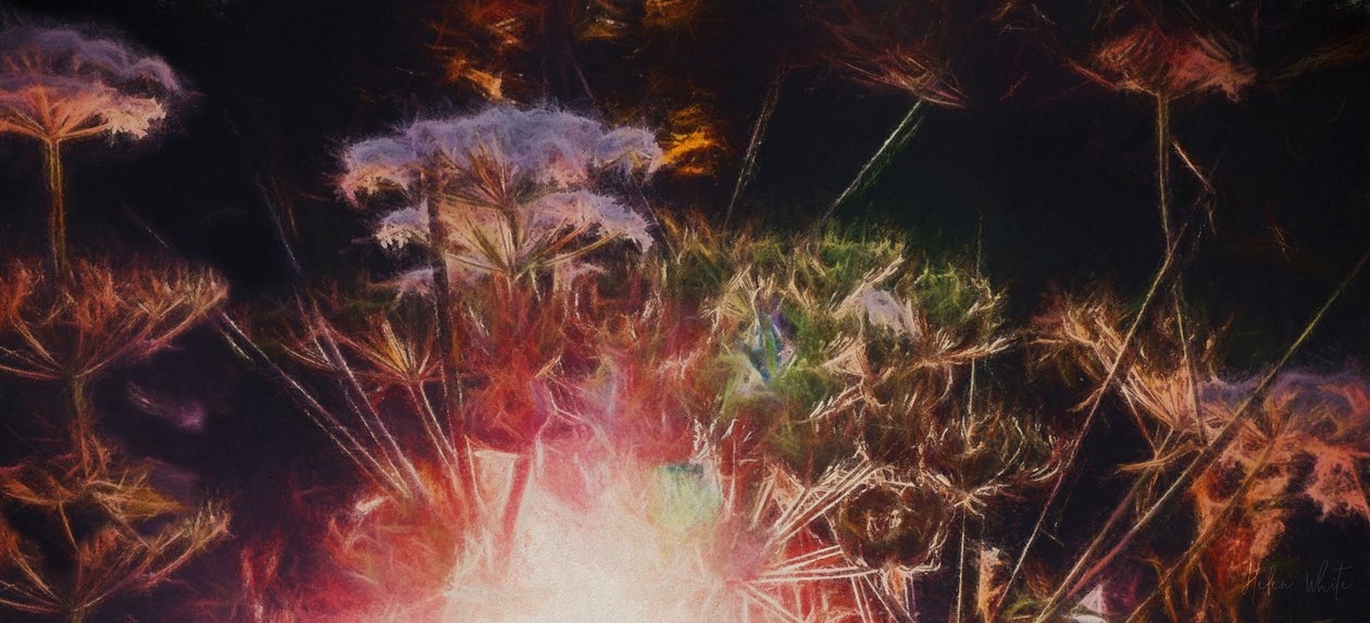 Seto radiante, 2018 de Helen White