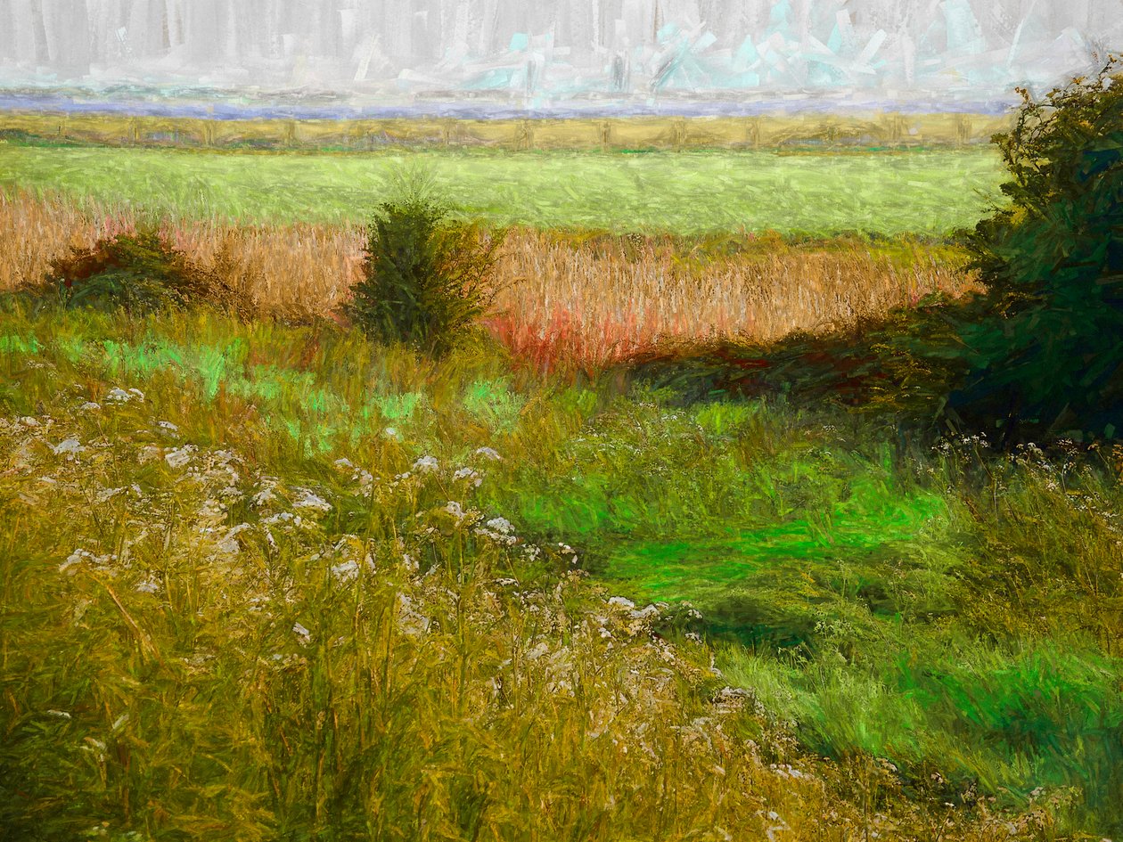 Pradera de Verano, 2019 de Helen White