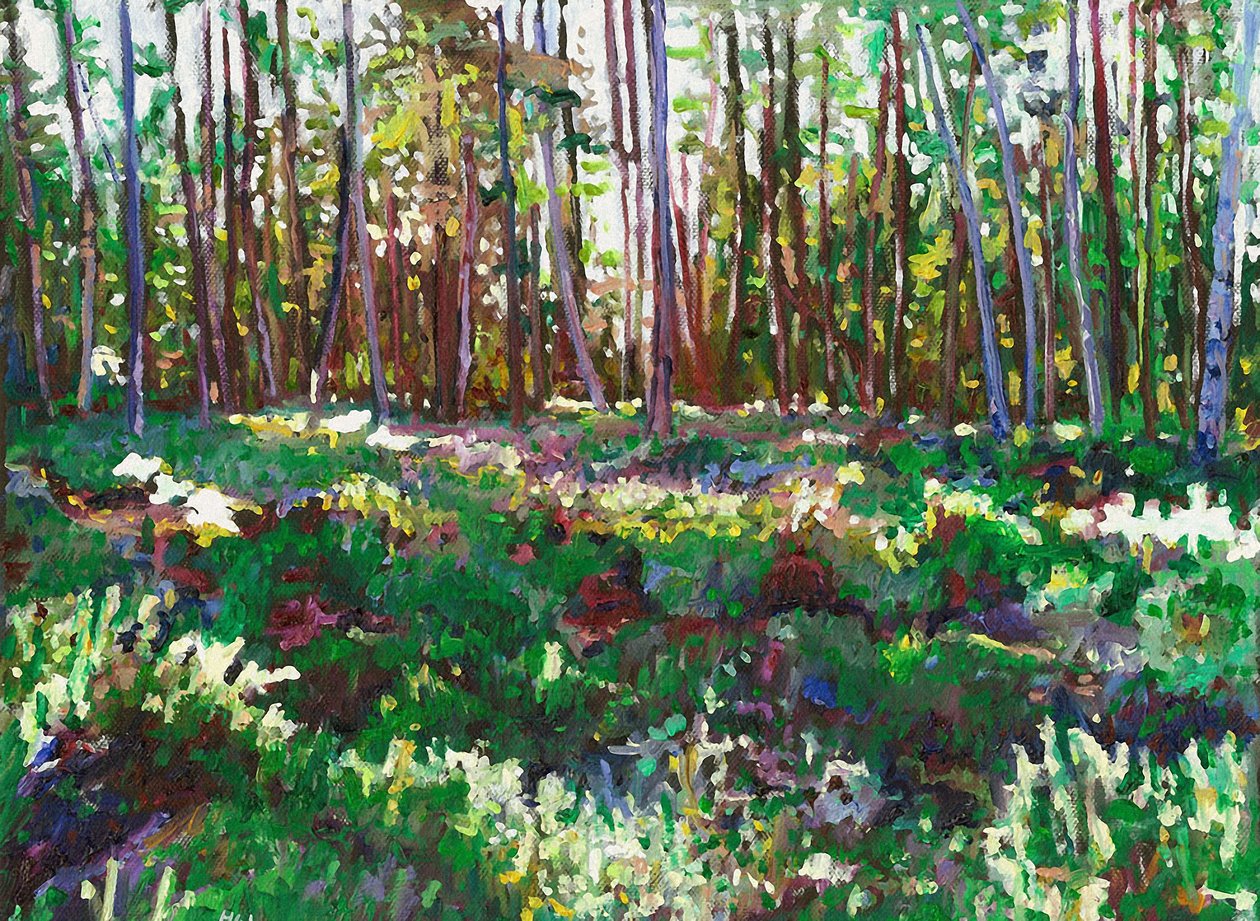 La luz del sol en Heather, 2011 de Helen White