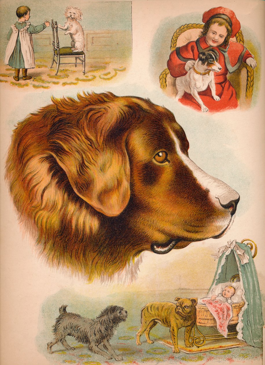 El perro, c1900 de Helena J. Maguire