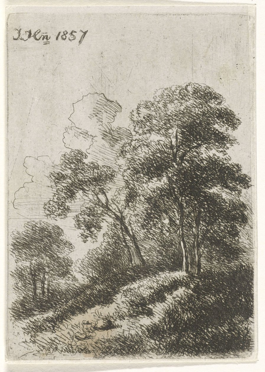 árboles en una colina de Hendrik Jan Hein