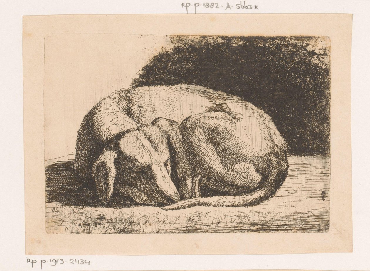 Perro dormido de Hendrik Jozef Franciscus van der Poorten