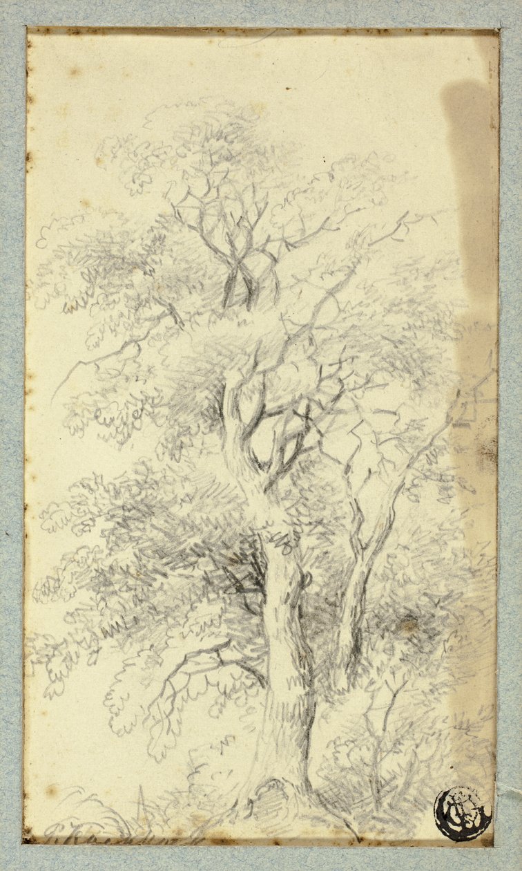 Árbol de Hendrik Pieter Koekkoek
