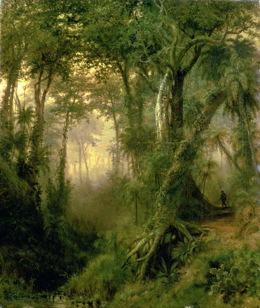 Un Cazador en la Selva Cubana, Amanecer de Henri Cleenewerck