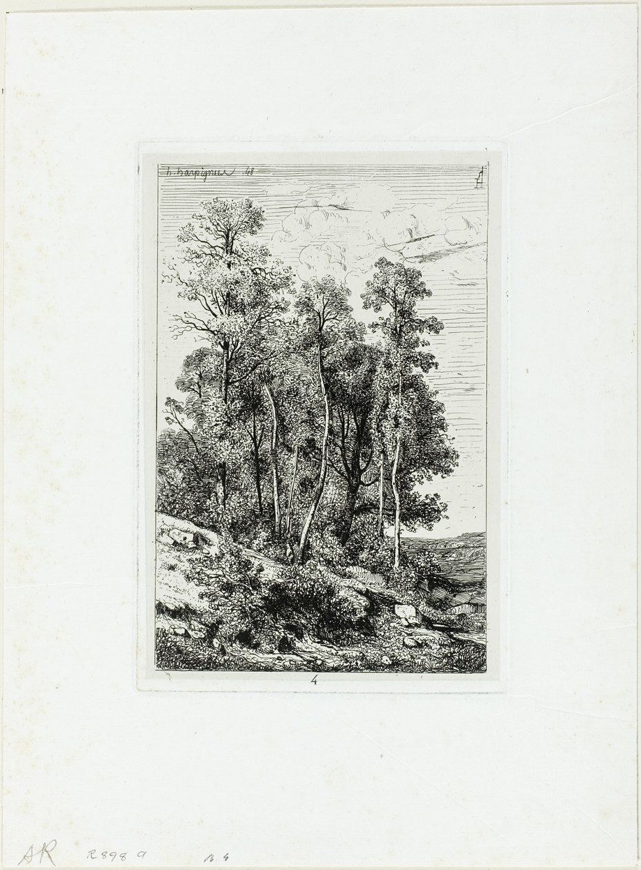 Abedules y robles de Henri Joseph Harpignies