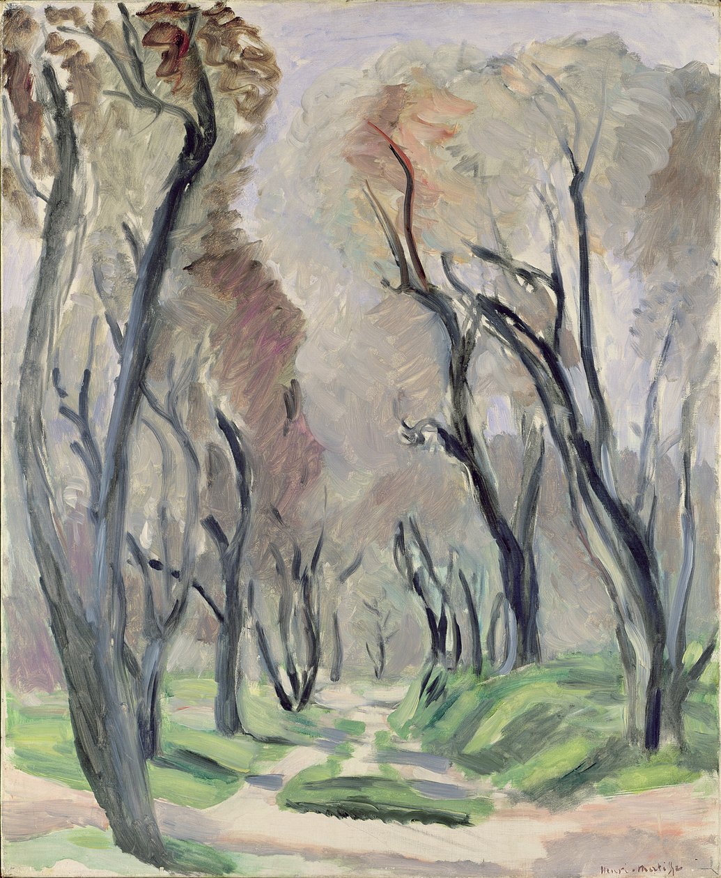 Avenida de los Olivos de Henri Matisse
