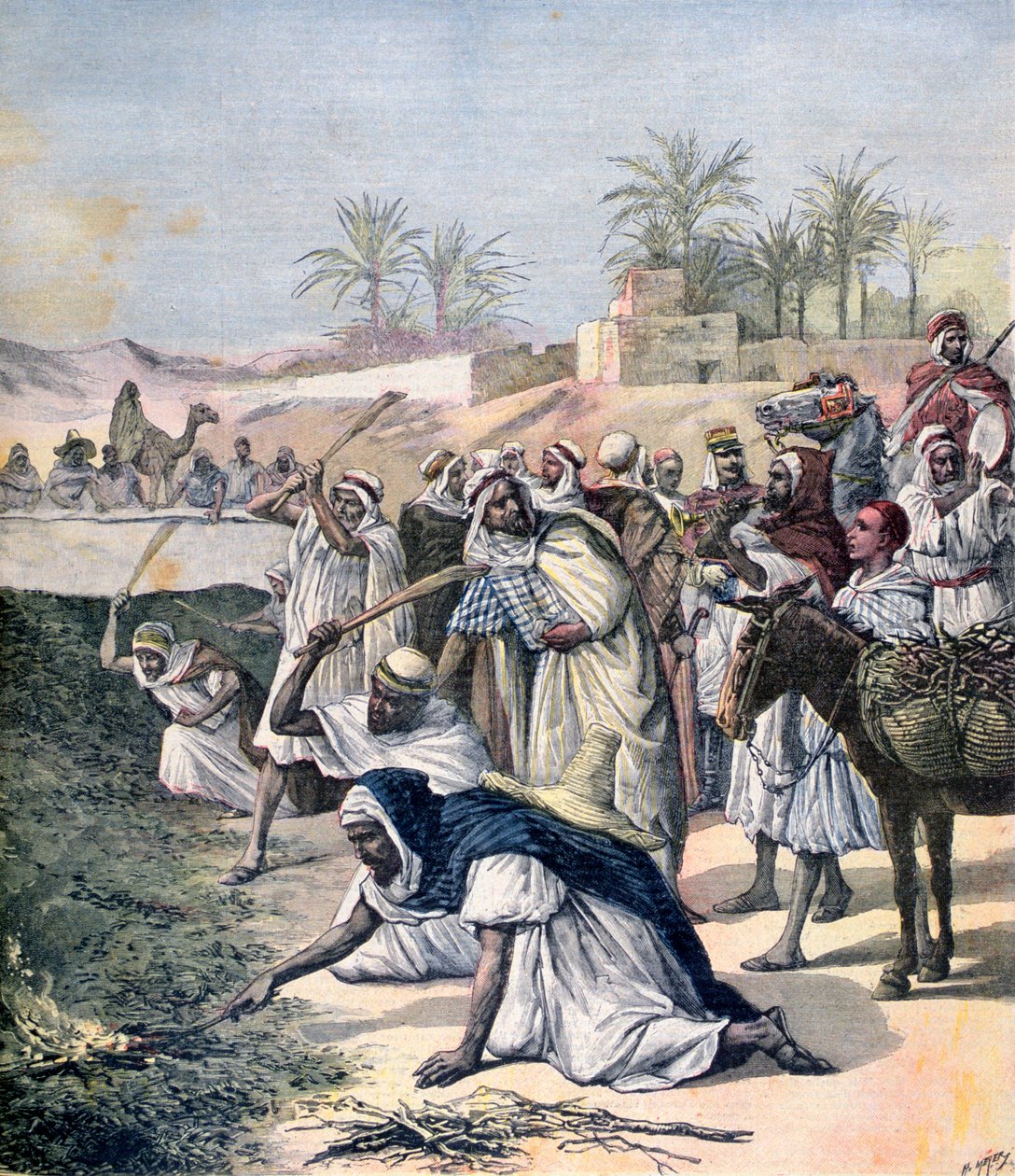 La plaga de langostas, Argelia, 1891 de Henri Meyer