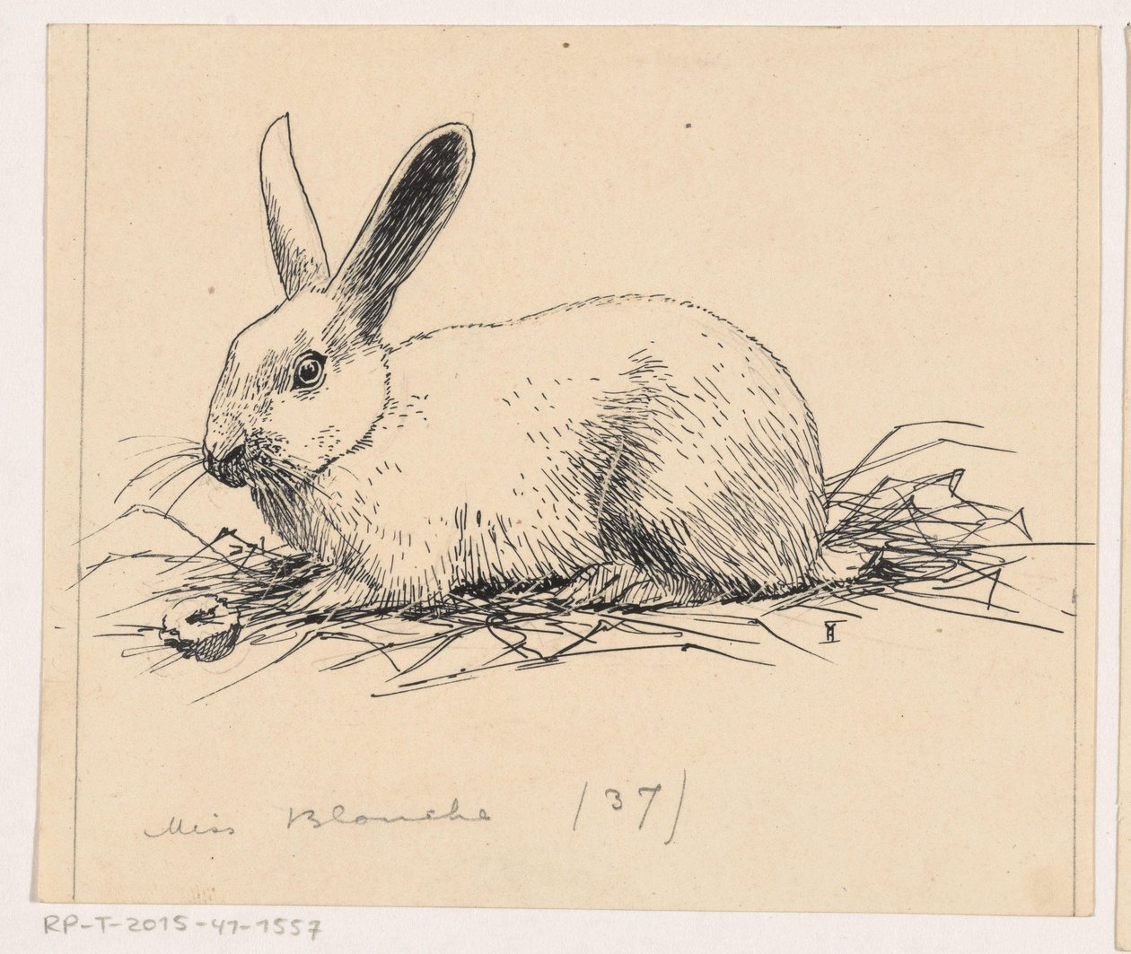 Conejo de Henri Verstijnen (signed by artist)