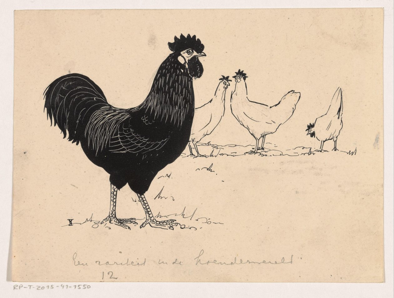 Aves de corral de Henri Verstijnen