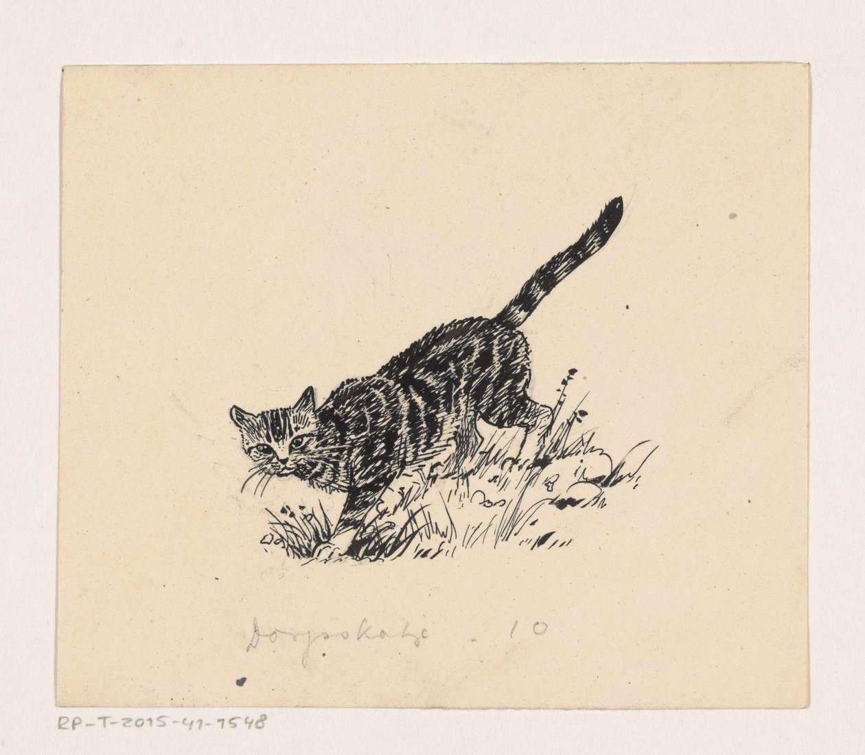 Kat de Henri Verstijnen