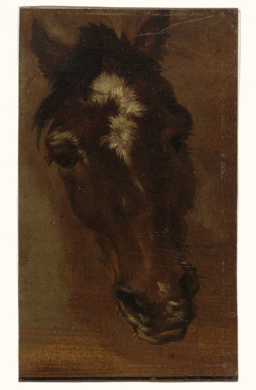 Cabeza de caballo de Henriëtte Ronner