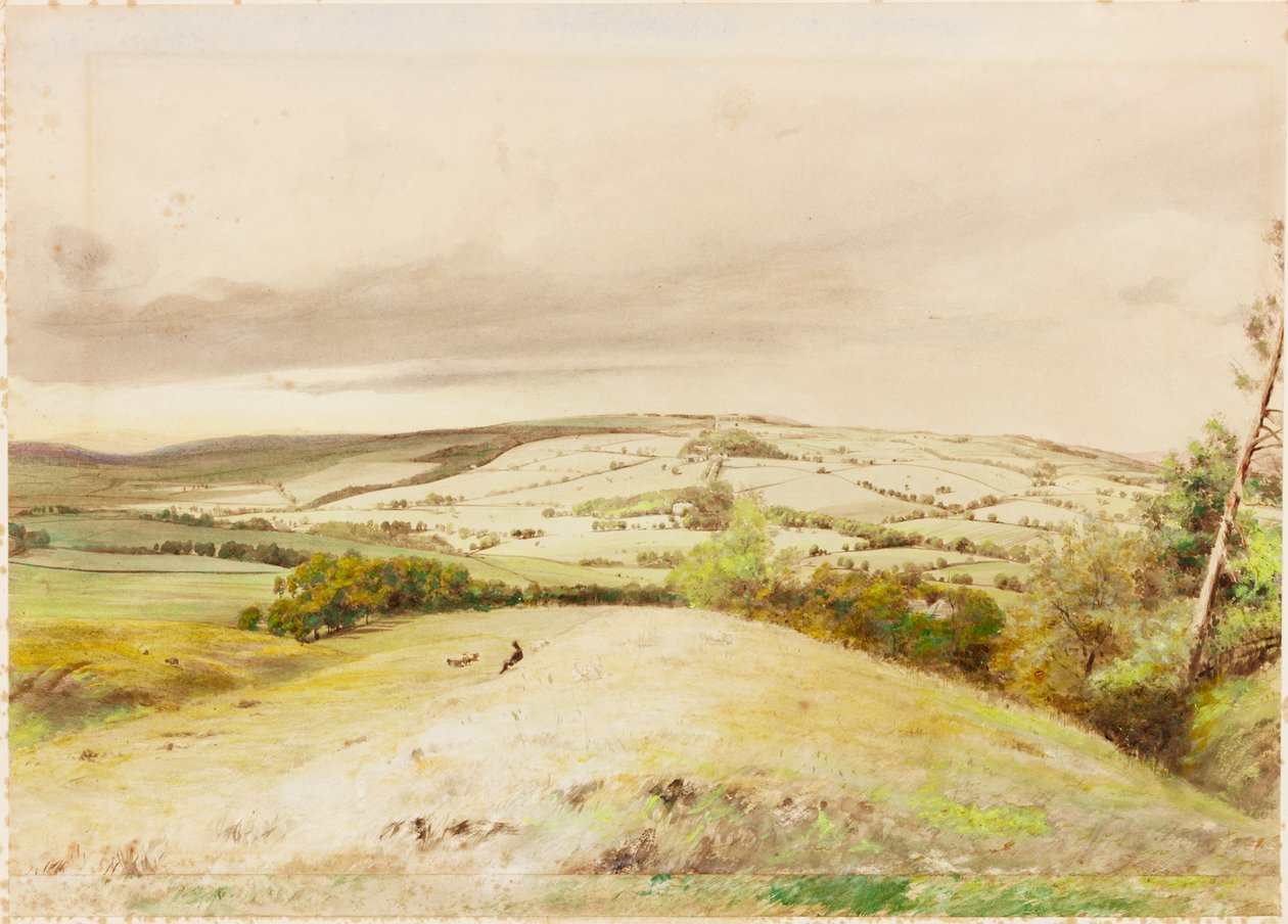 Brunton Bank de Henry Burdon Richardson