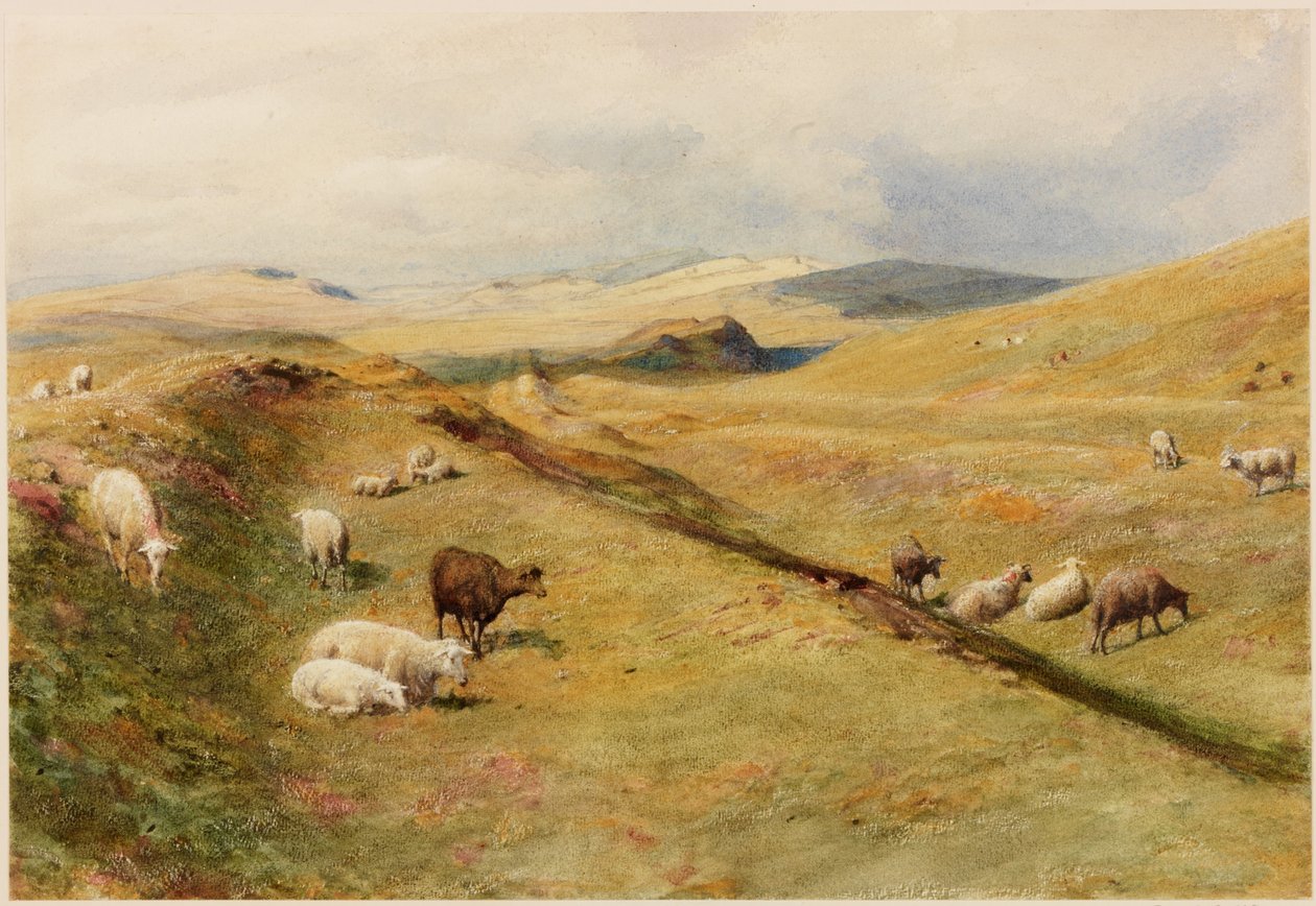 Castle Nick de Henry Burdon Richardson