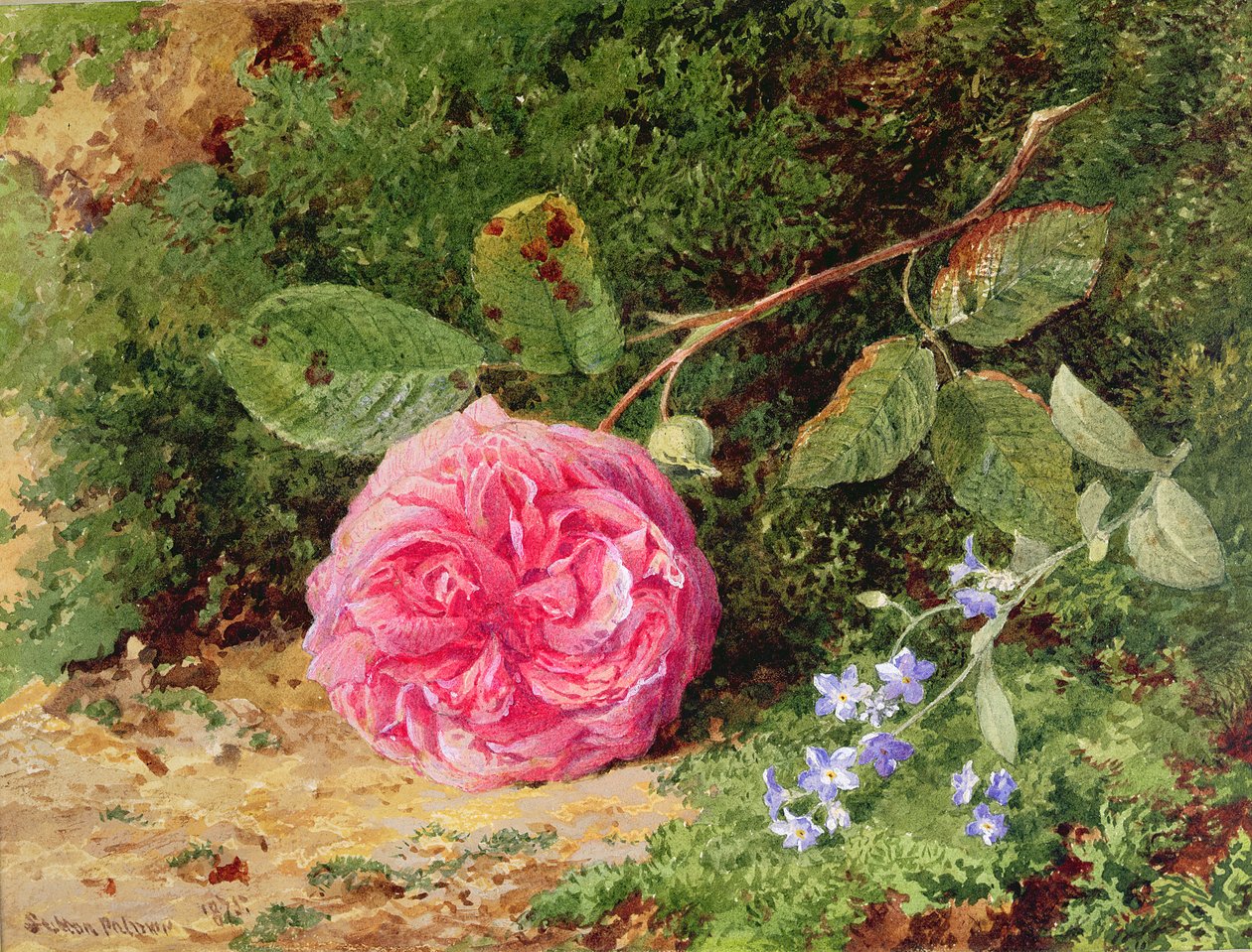 Rosa rosa en un banco musgoso, 1875 de Henry Sutton Palmer
