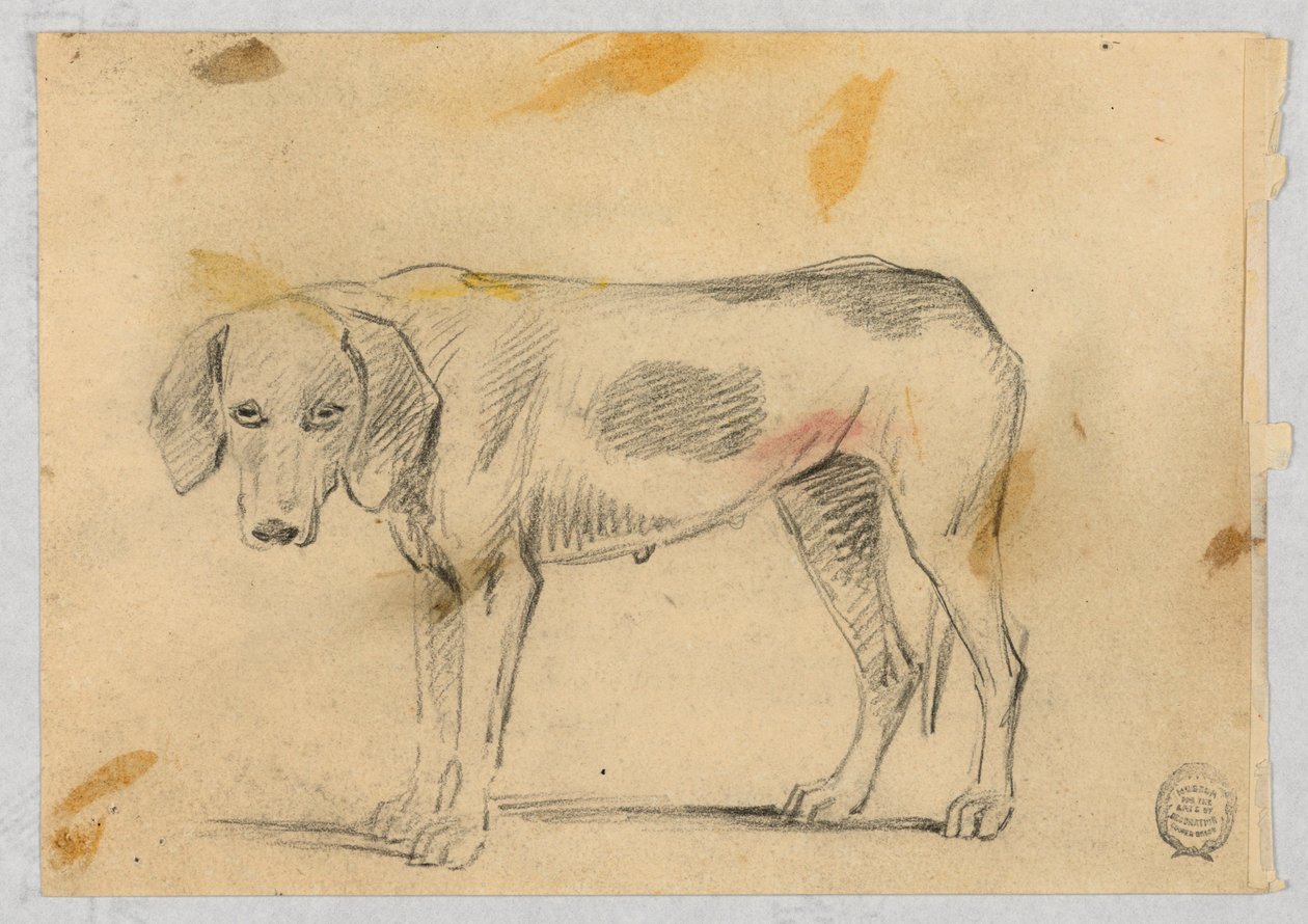 Estudios de Dos Galgos de Henry Bernard Chalon