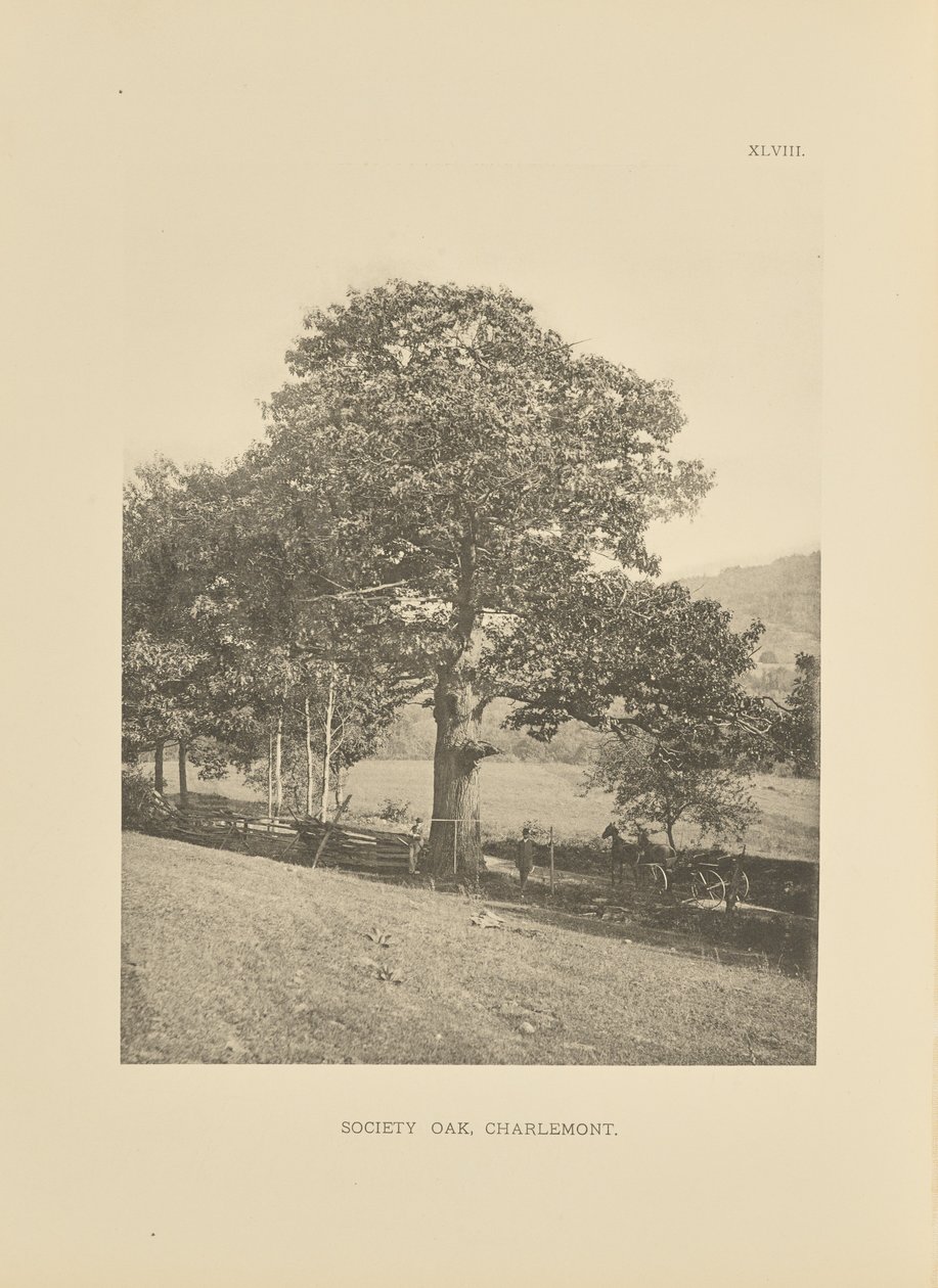 Sociedad Oak, Charlemont de Henry Brooks