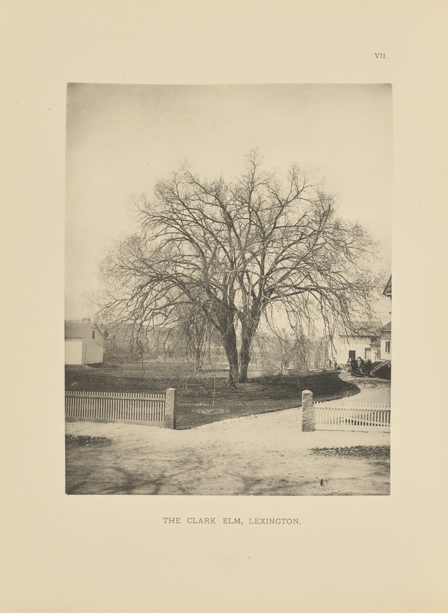 El Olmo Clark, Lexington de Henry Brooks