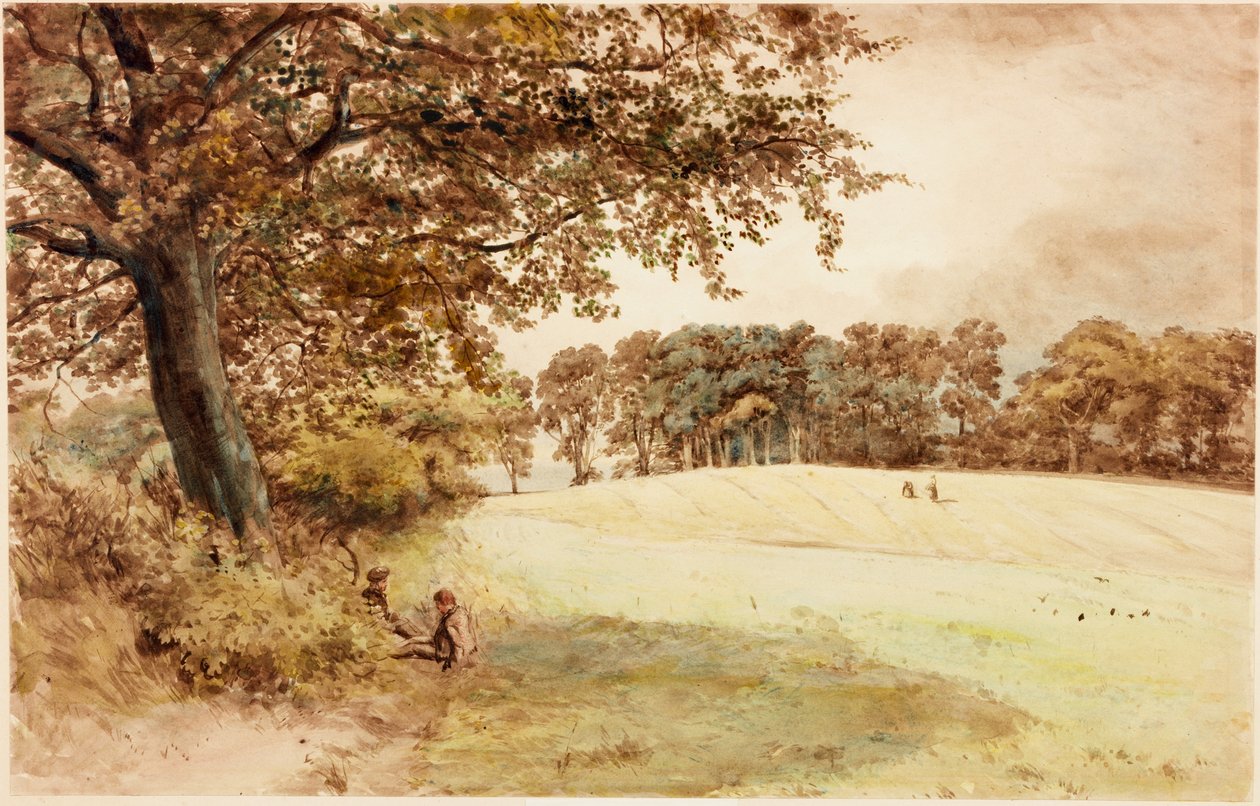 Benwell Hill Top de Henry Burdon Richardson