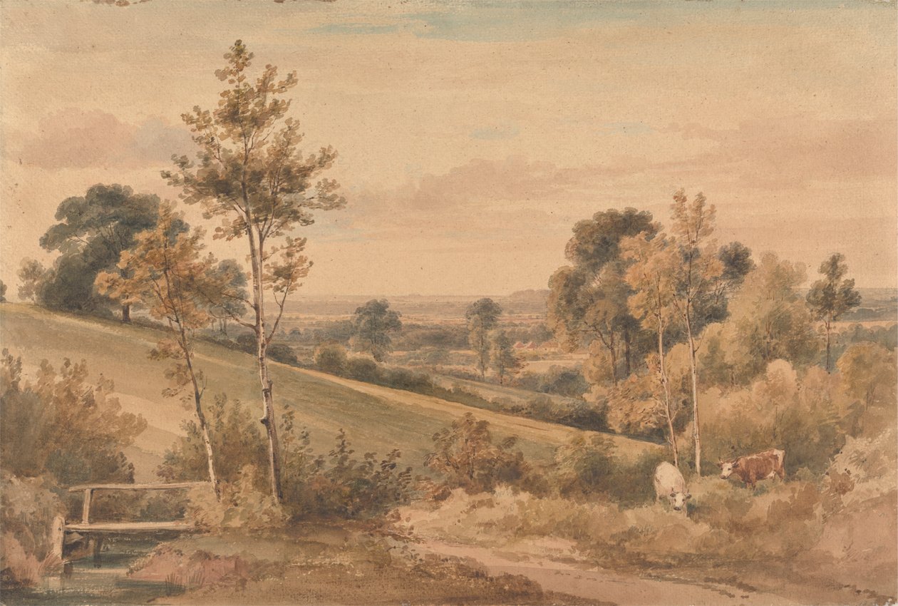 Little Bushey, Hertfordshire de Henry Edridge