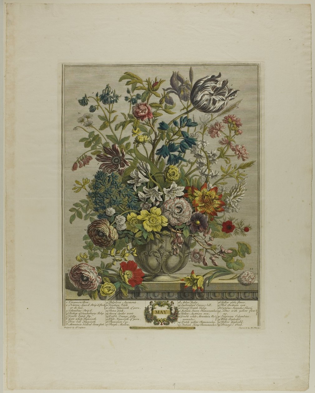 Mayo, de Doce meses de flores de Henry Fletcher