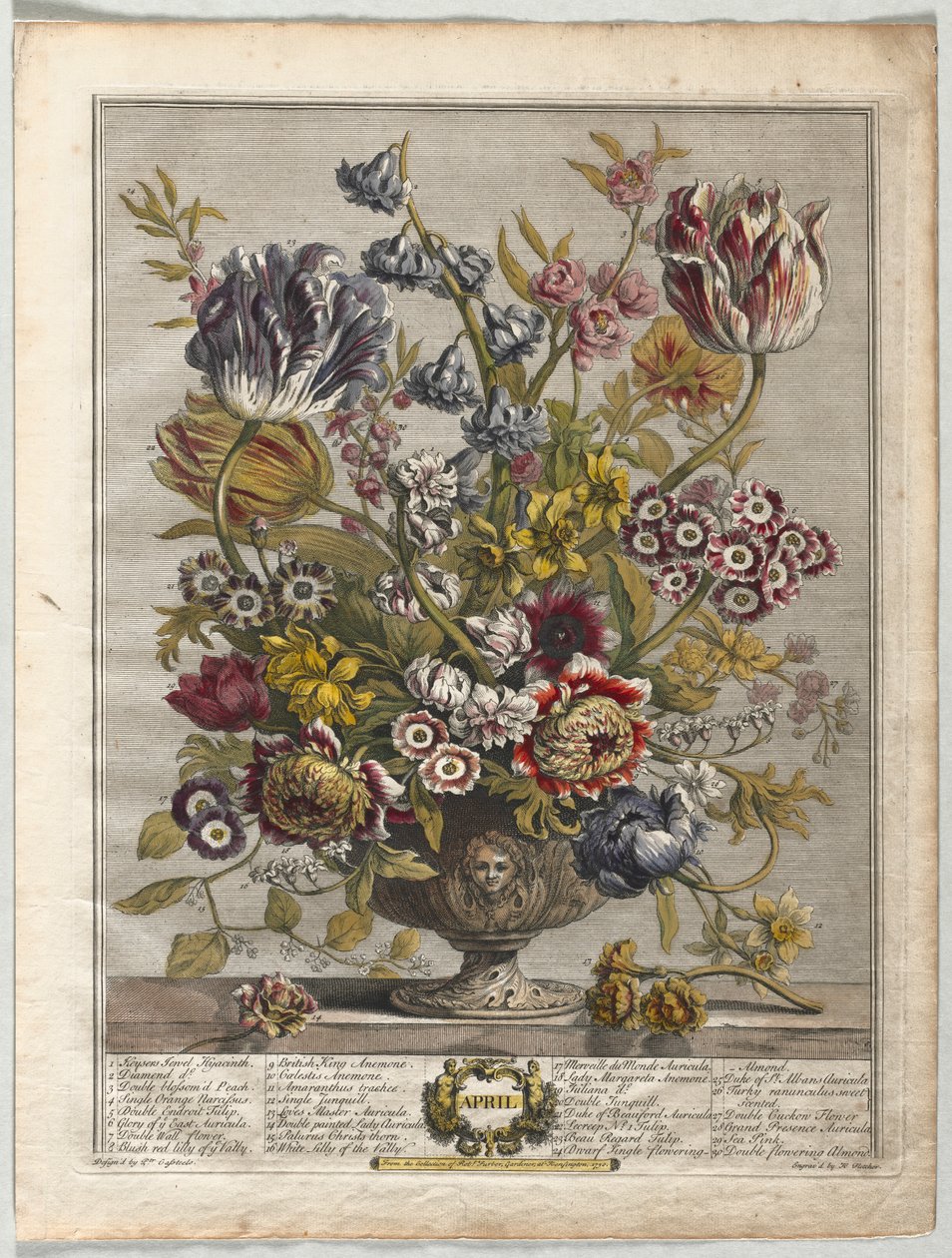 Doce Meses de Flores: Abril, 1730 de Henry Fletcher