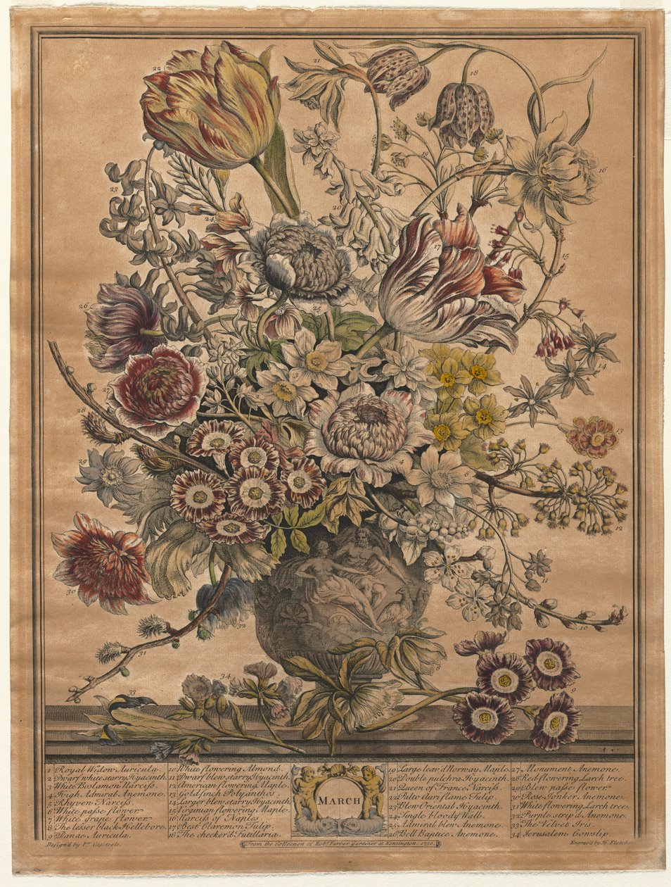Doce Meses de Flores: Marzo, 1730 de Henry Fletcher