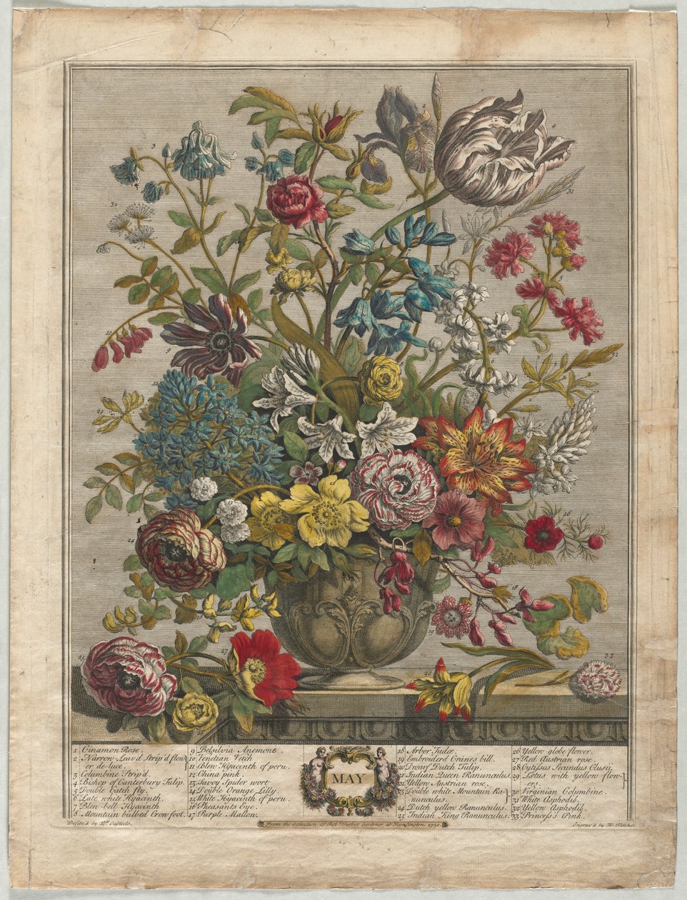 Doce Meses de Flores: Mayo de Henry Fletcher