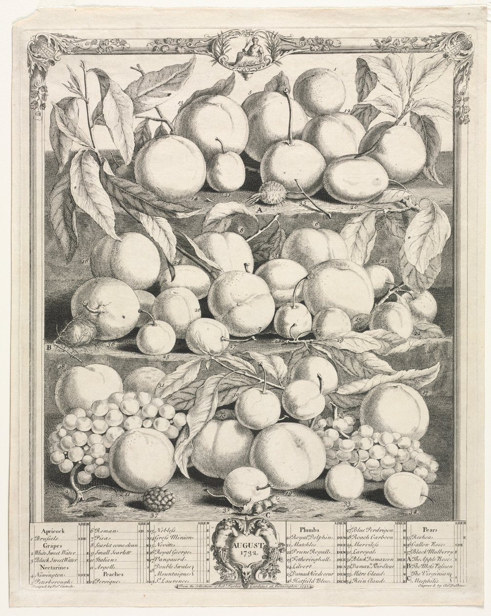Doce meses de frutas: Agosto de Henry Fletcher