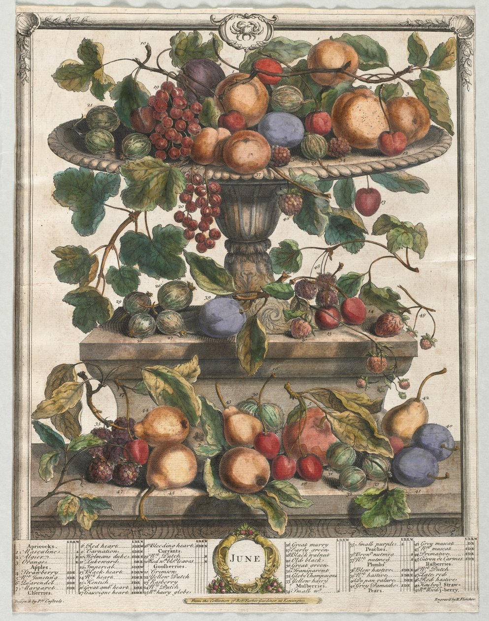 Doce meses de frutas: junio de Henry Fletcher