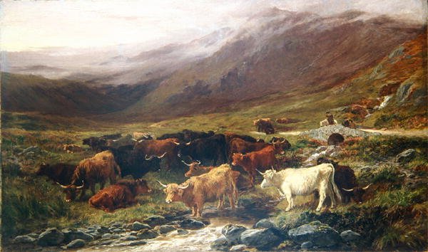 Vacas en las tierras altas de Henry Garland