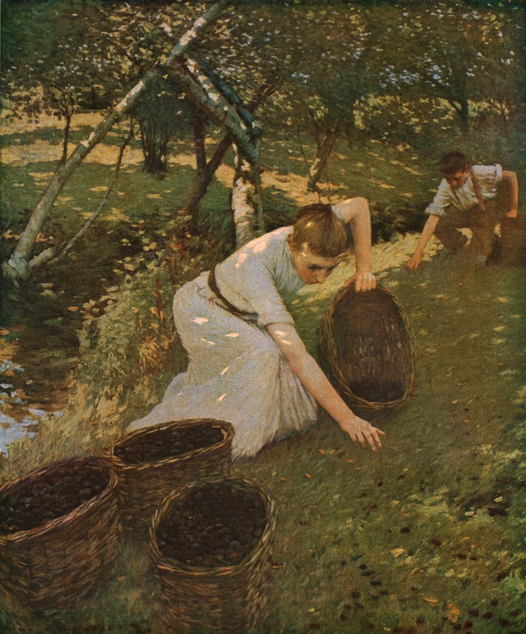 Recogiendo Ciruelas, 1901, c1930 de Henry Herbert La Thangue