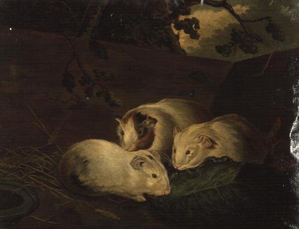 Estudio primitivo de cobayas de Henry Penry Williams