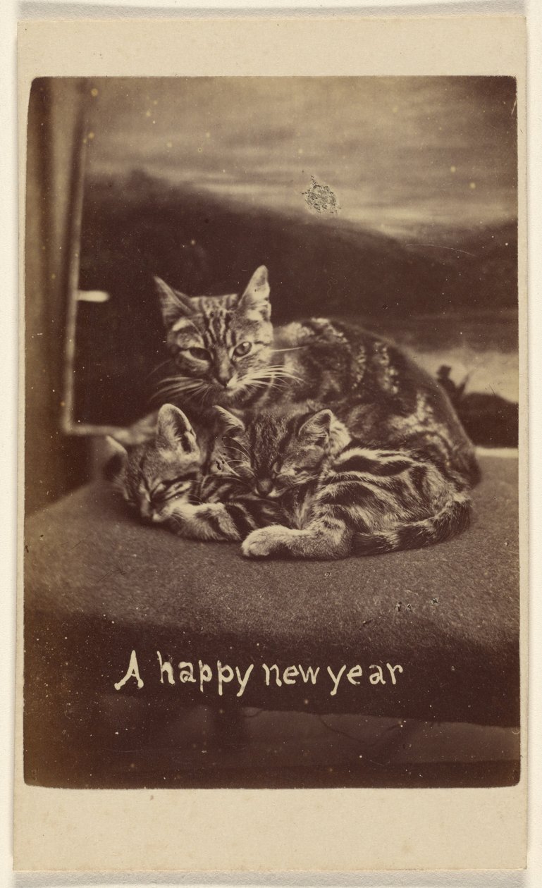 Un feliz año nuevo de Henry Pointer