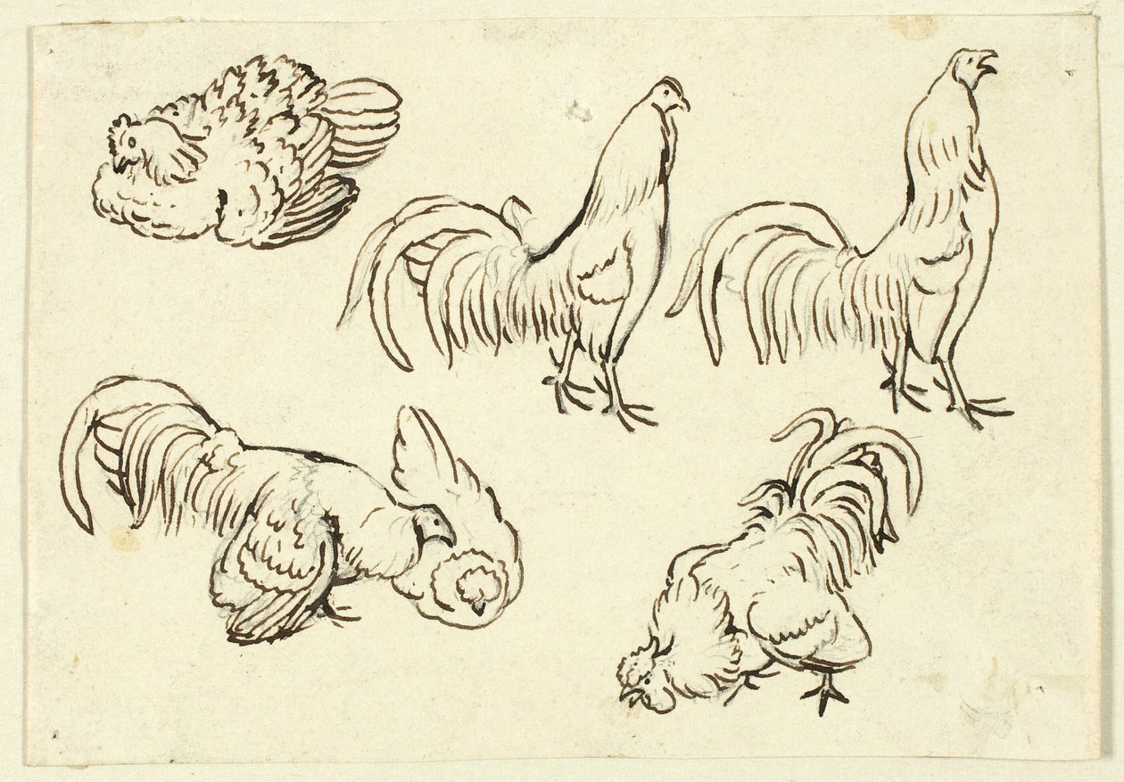 Bocetos de aves de corral de Henry Stacy Marks