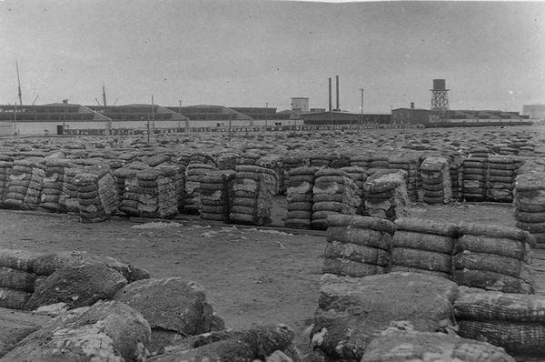 Moody Compress, Galveston de Henry Stark