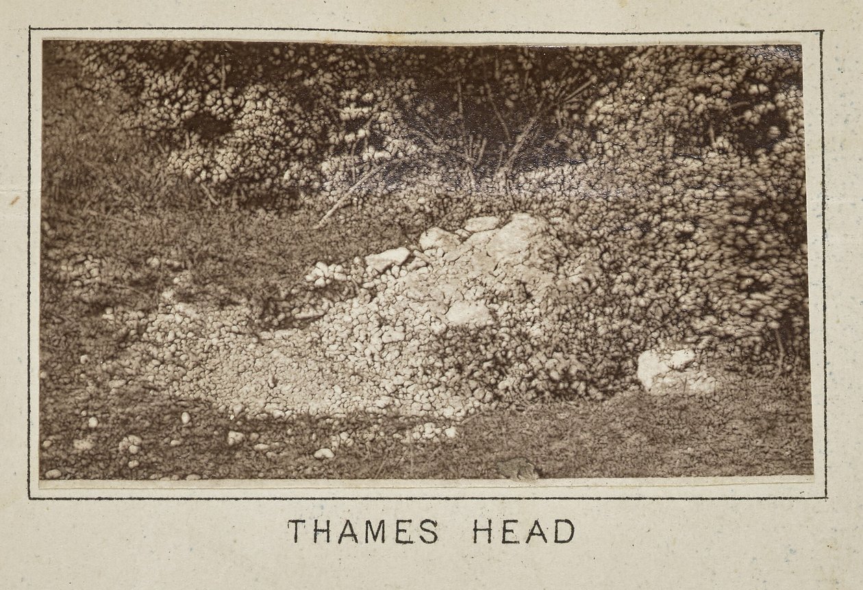 Cabeza del Támesis de Henry W. Taunt