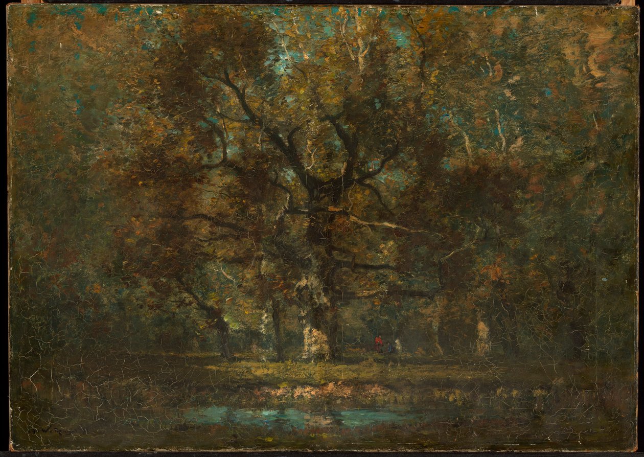 Roble de Henry Ward Ranger