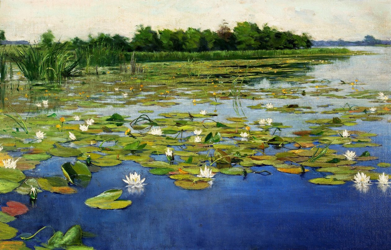 Nenúfares de Henryk Weyssenhoff