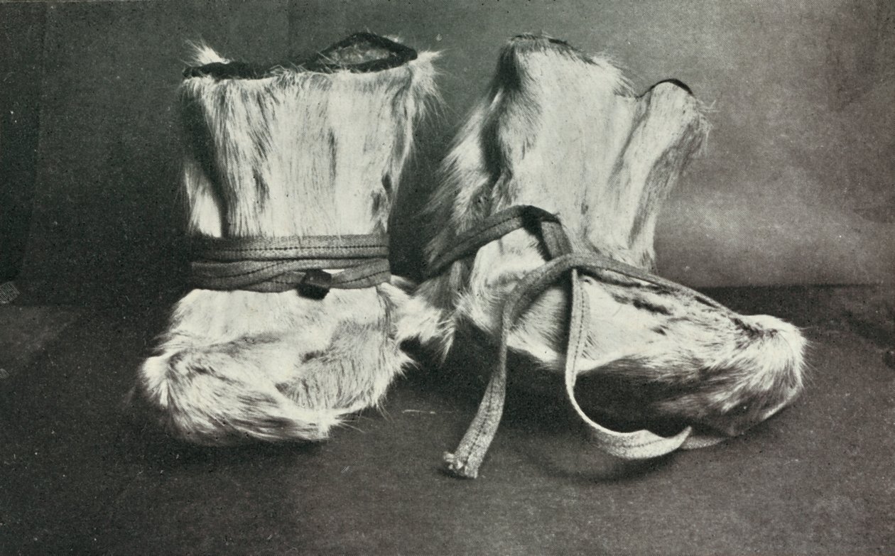 Finnesko, c1910-1913, 1913 de Herbert Ponting