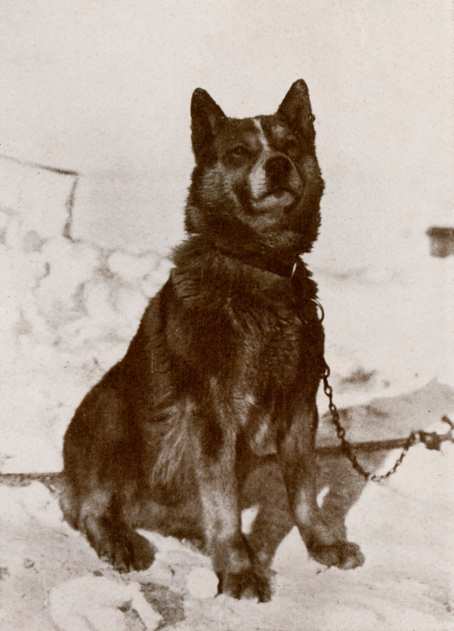 Krisravitsa, c1910-1913, 1913 de Herbert Ponting