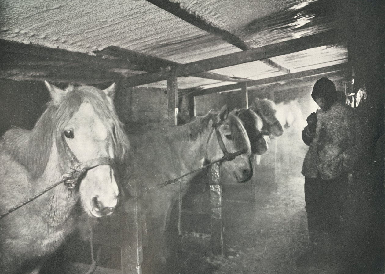Los establos en invierno, c1910-1911, 1913 de Herbert Ponting