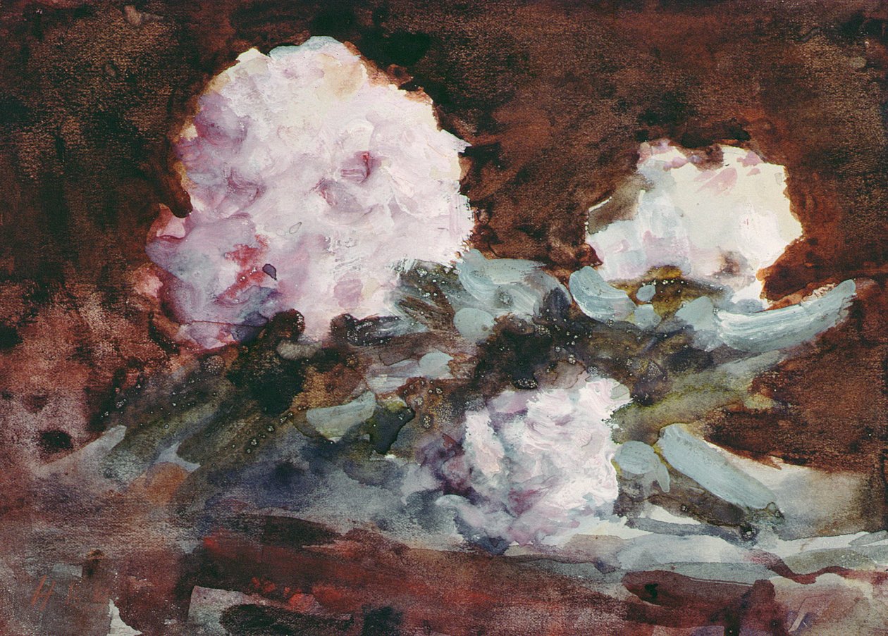 Rhododendrons de Hercules Brabazon Brabazon