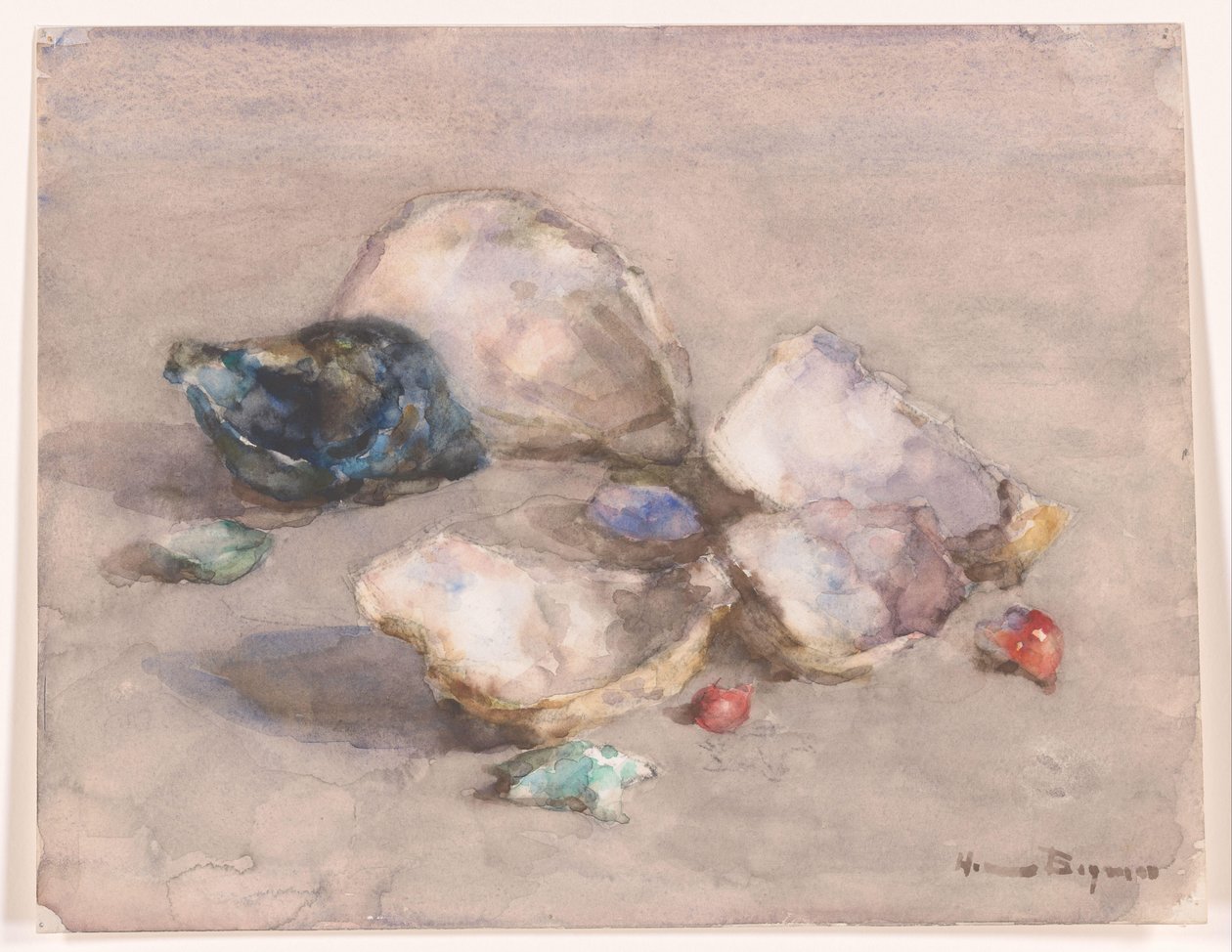 Conchas en la playa de Herman Bogman (signed by artist)